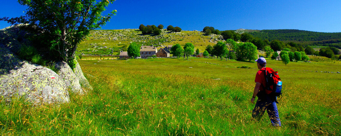 Mont-Lozère