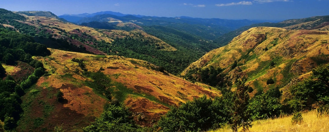 david hughes - Fotolia.com Cévennes