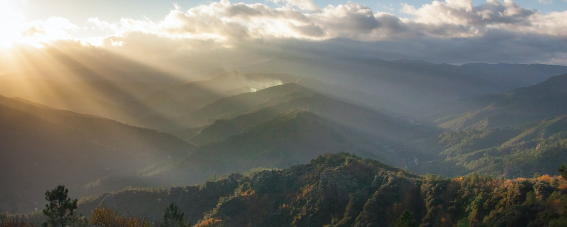 Les Cévennes