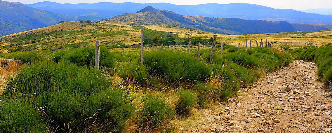 Panorama cévenol