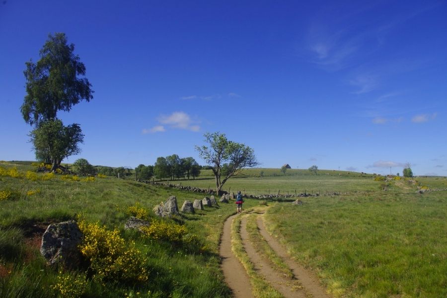 tour de l'aubrac tour de l'aubrac