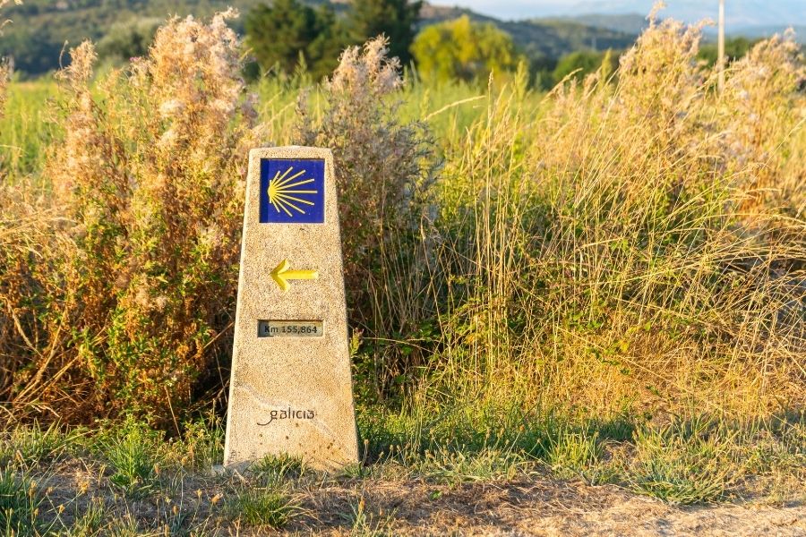 camino francés