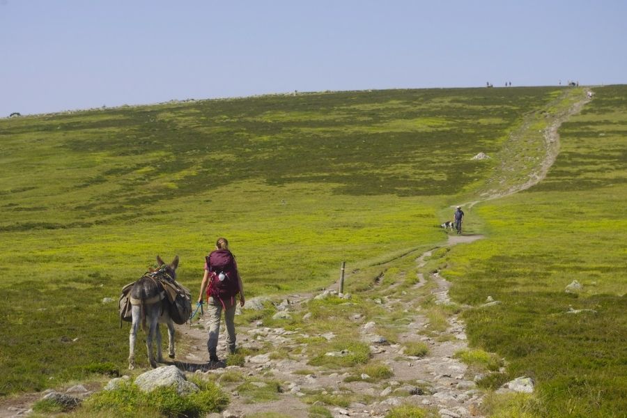 chemin de Stevenson chemin de steveson