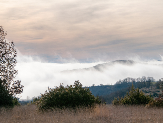 brouillard sur les plateaux du Larzac 