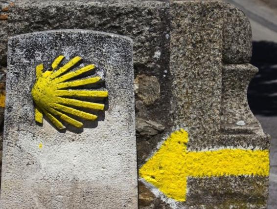 chemins de compostelle